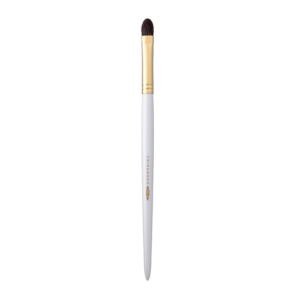 Chikuhodo GSN Series GSN-9 Eye Shadow Fude Brush EUC!